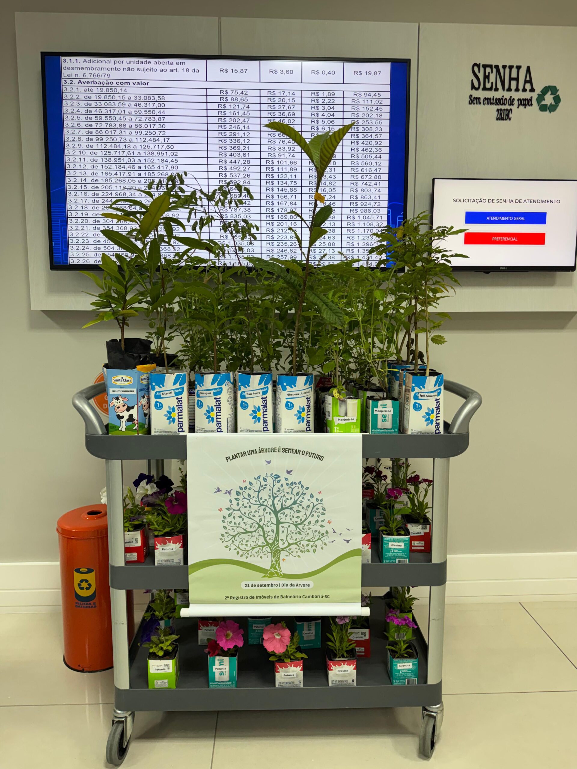 Distribuição de plantas e árvores